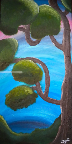 Oltre l'apparenza 2011